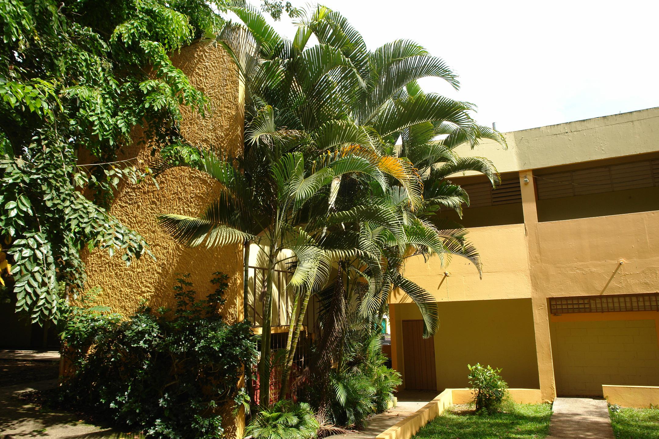 FDII - Aibonito - 2010 00032